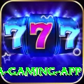 PKZ88 Mega Gaming App